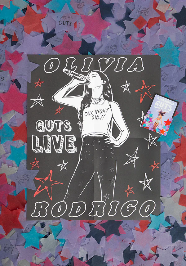 GUTS world tour book - Image 8