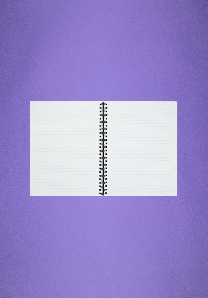 (no) bad idea(s) right? notebook - Image 3